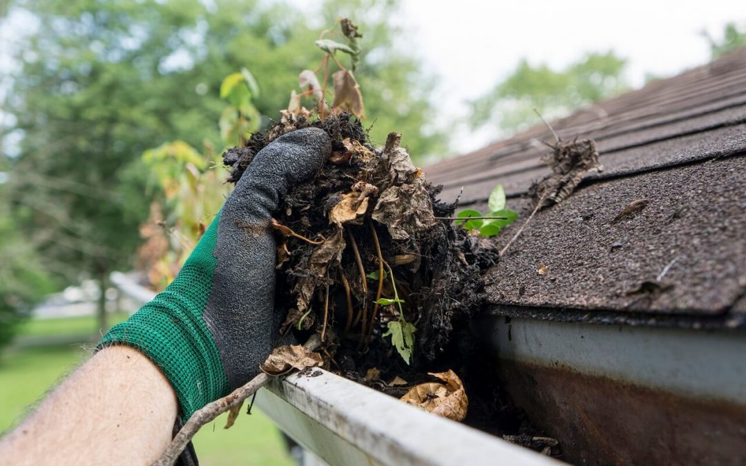 Tips on How to Clean Gutters