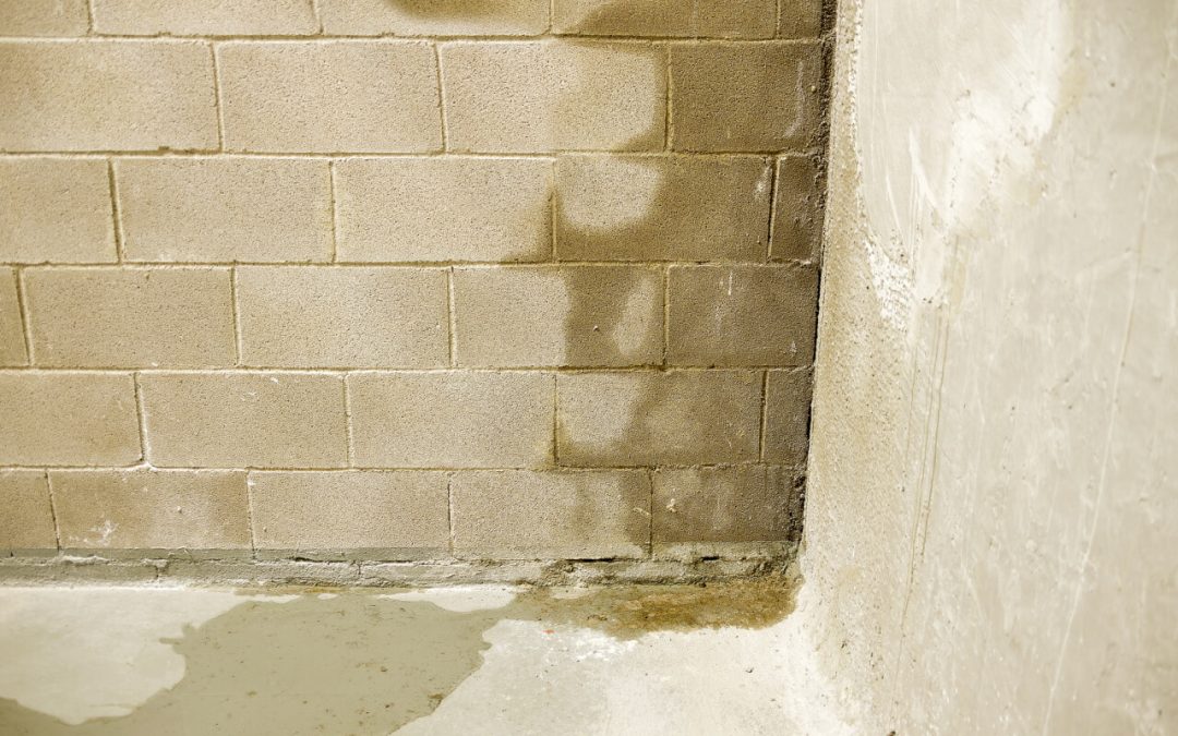 5 Ways to Keep Your Basement Dry